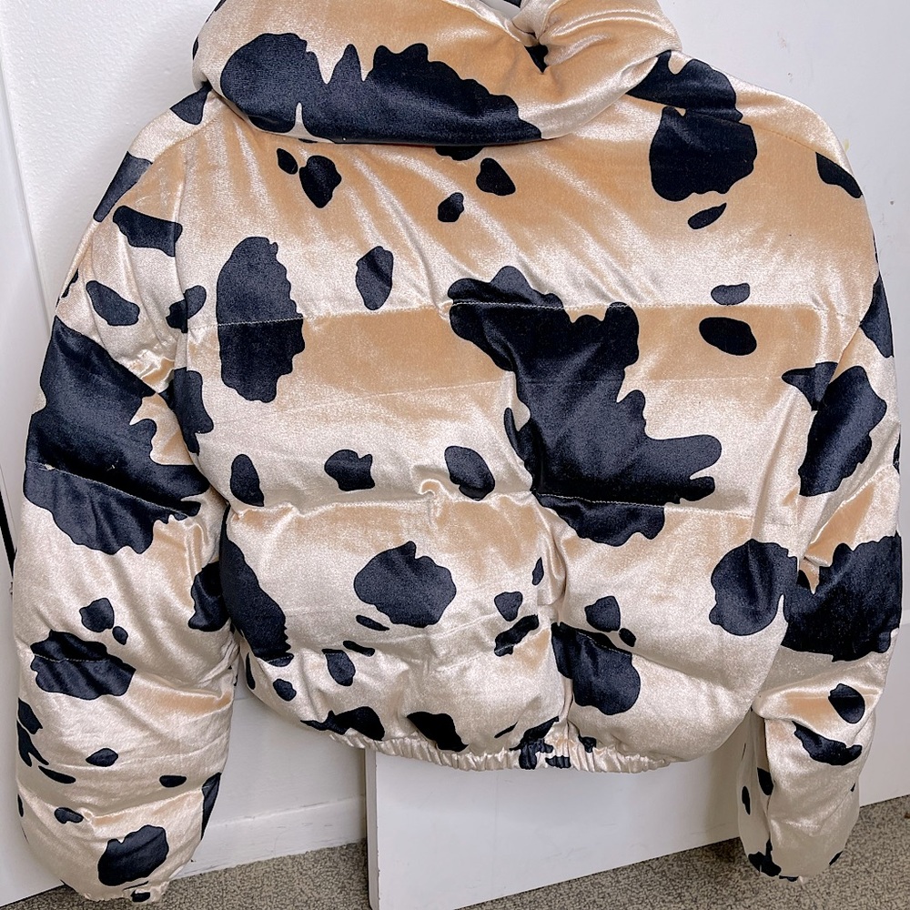 Fashion Nova Cow Print Trendy puffer bomber jacket.